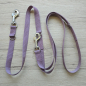 Preview: verstellbare Hundeleine - Mauve