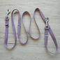 Preview: verstellbare Hundeleine - Mauve