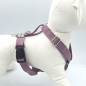 Preview: Y-Geschirr Gr. S Mauve