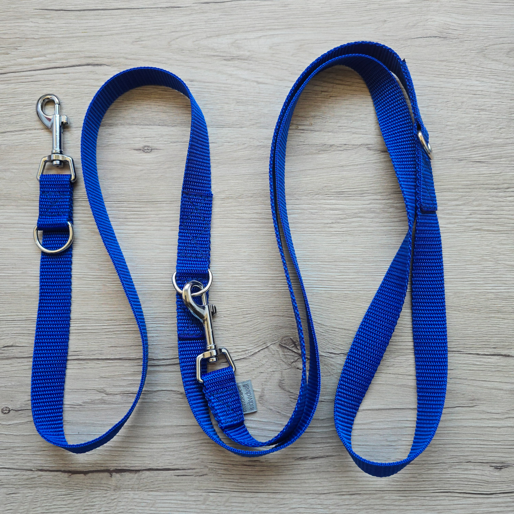 verstellbare Hundeleine - Blau